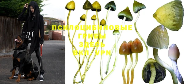 гашиш Алексеевка